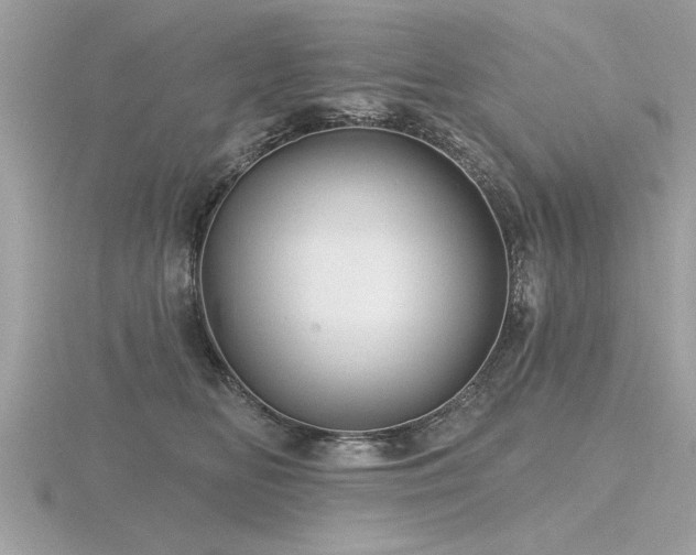 X0000116590518200912101542