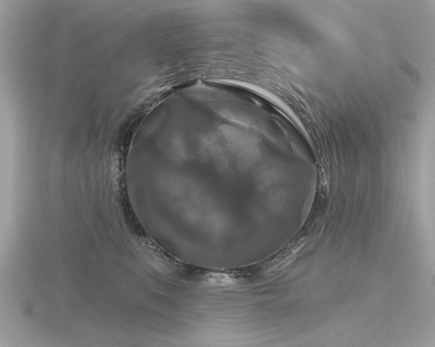 X0000116590519200912101542