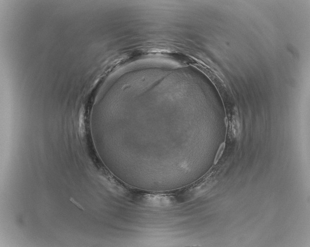 X0000116590520200912101542