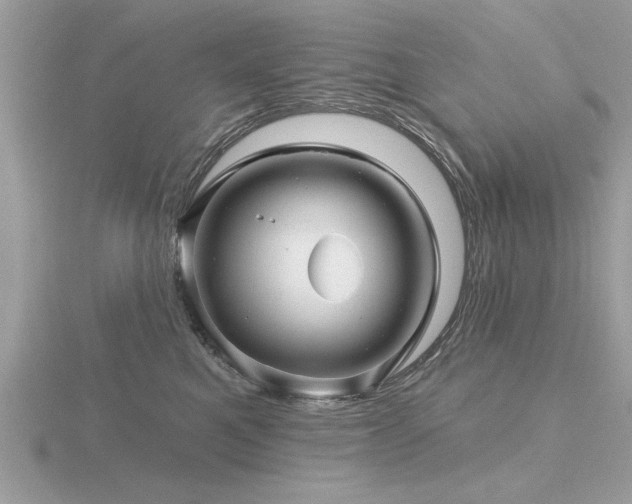 X0000116590521200912101542