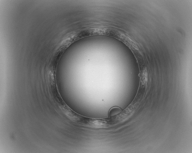 X0000116590522200912101542