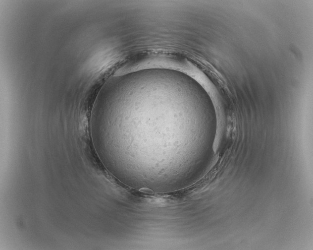 X0000116590523200912101542