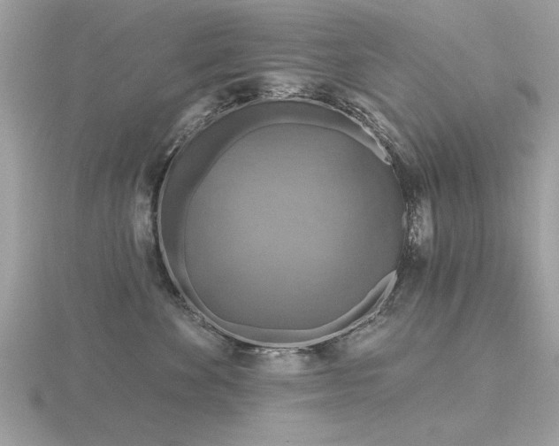 X0000116590524200912101542