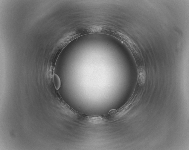 X0000116590525200912101542