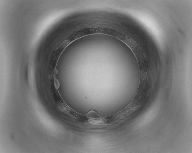 X0000116590526200912101542