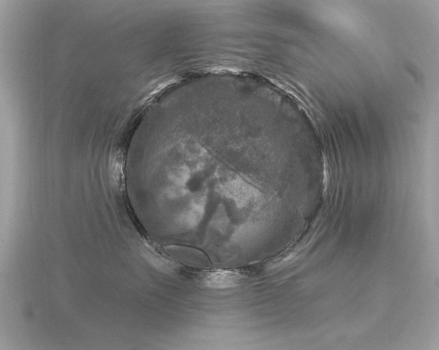 X0000116590527200912101542