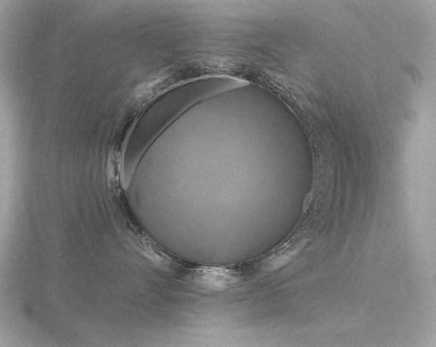 X0000116590528200912101542