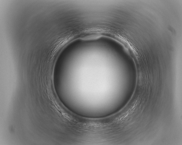 X0000116590529200912101541