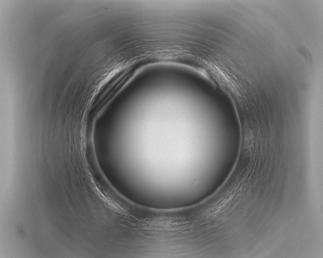 X0000116590530200912101541