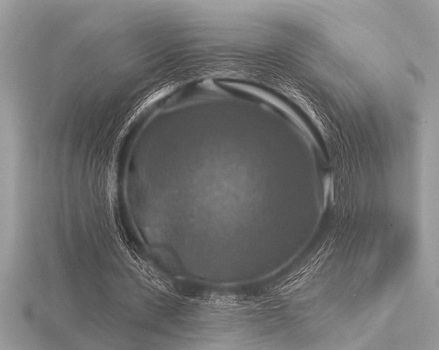 X0000116590531200912101541