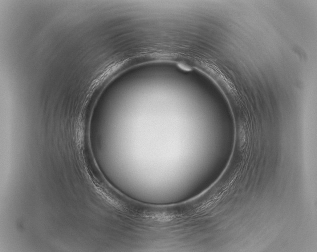 X0000116590533200912101541