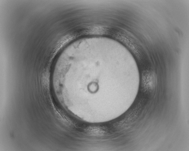 X0000116590534200912101541