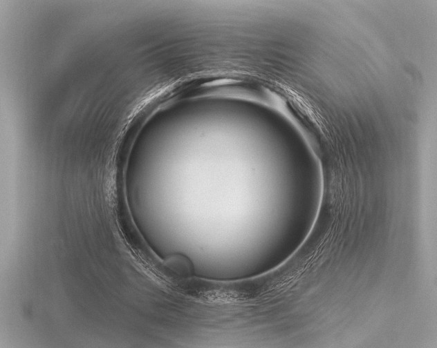 X0000116590535200912101541