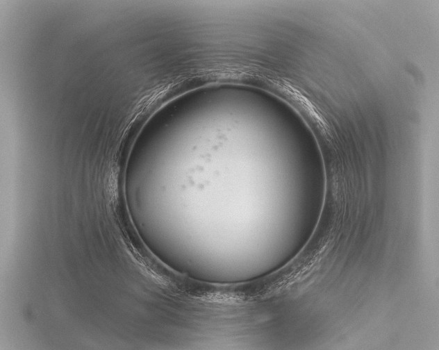 X0000116590537200912101541