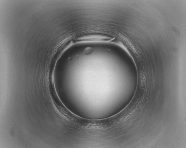 X0000116590538200912101541