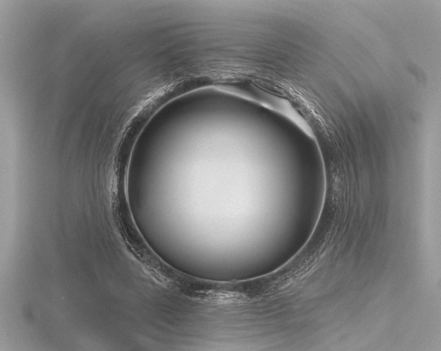 X0000116590539200912101541