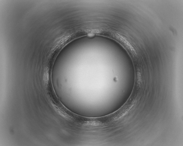 X0000116590541200912101541