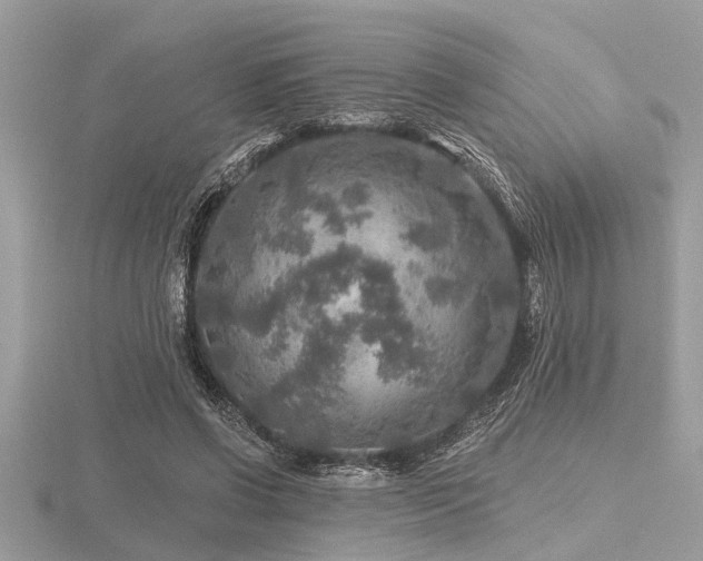 X0000116590542200912101541