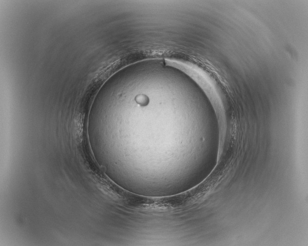 X0000116590545200912101541