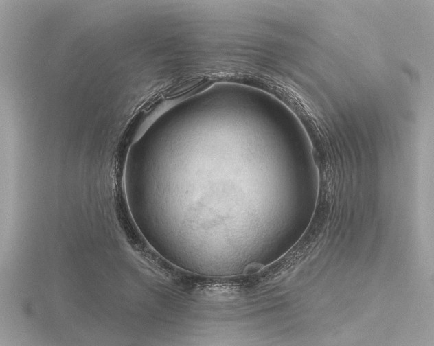 X0000116590546200912101541