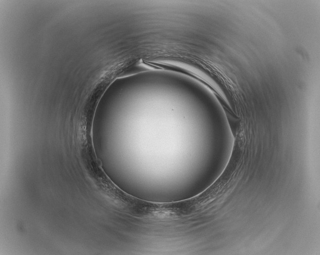 X0000116590547200912101541