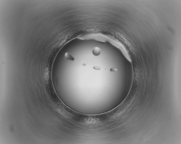 X0000116590549200912101541