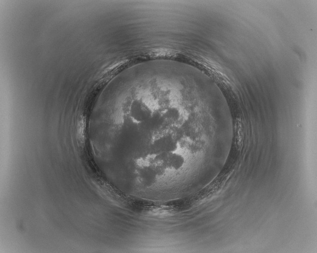 X0000116590550200912101541