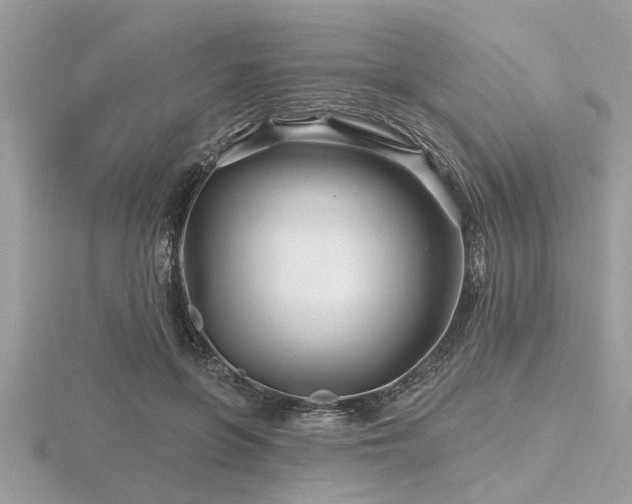 X0000116590551200912101541