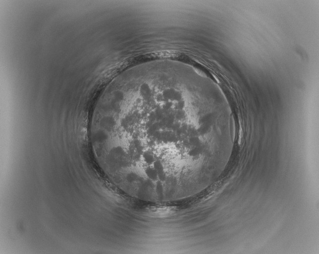 X0000116590553200912101541