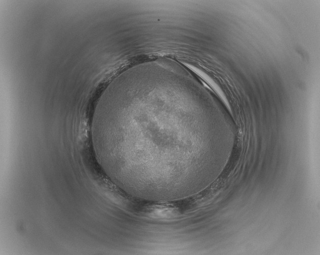 X0000116590555200912101541