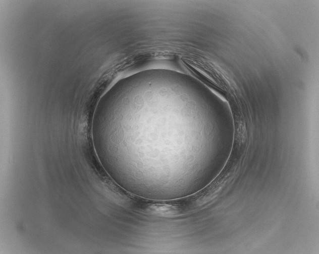 X0000116590557200912101541