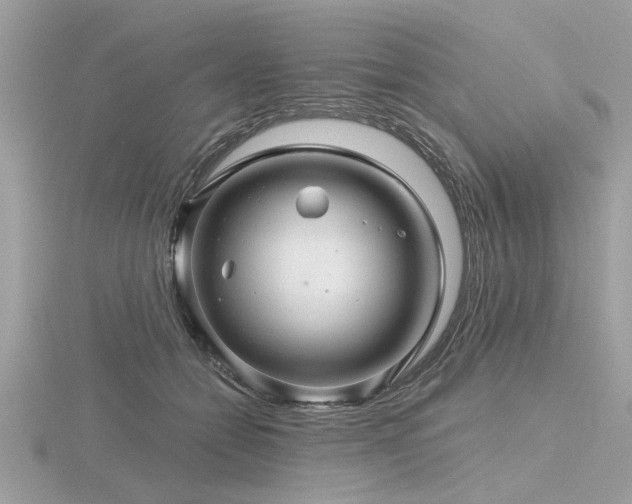 X0000116590558200912101541