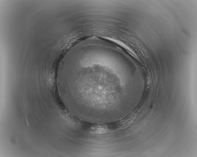 X0000116590559200912101541