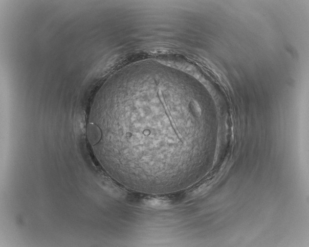 X0000116590561200912101542