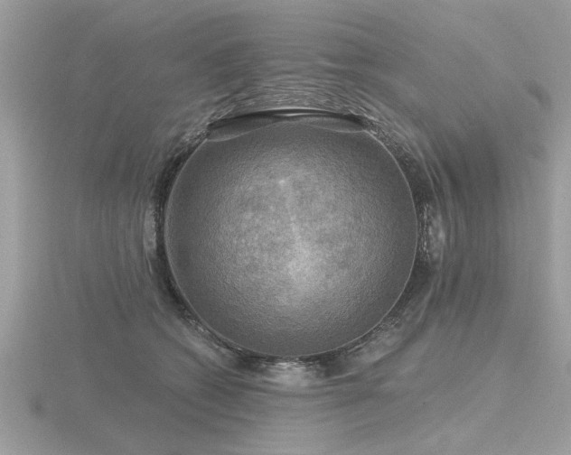 X0000116590562200912101542