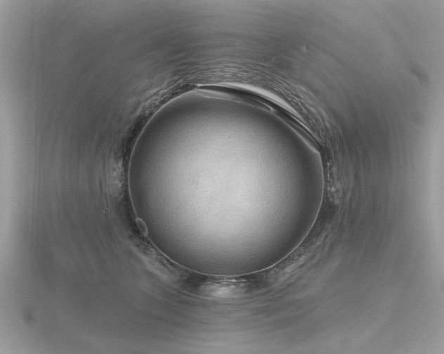 X0000116590563200912101542