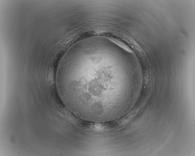 X0000116590565200912101542