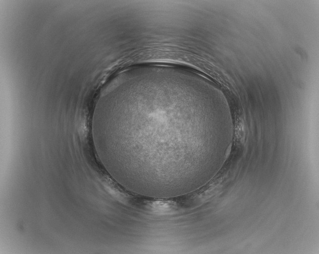 X0000116590566200912101542