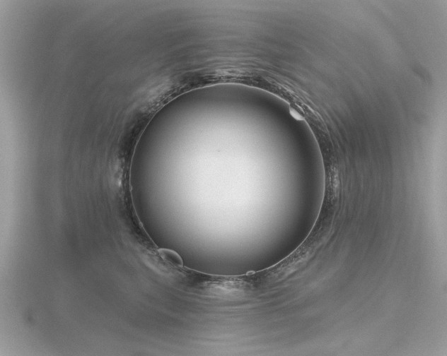 X0000116590567200912101542