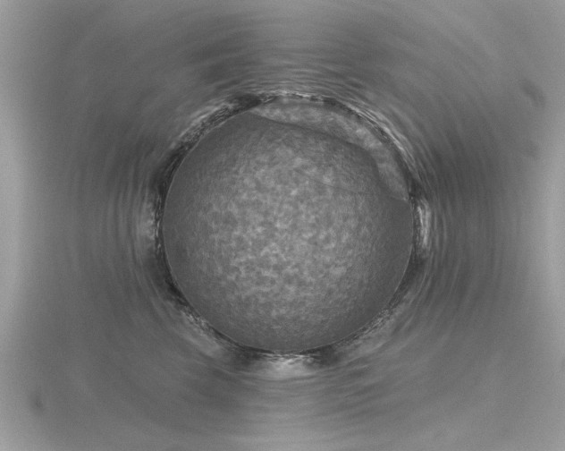 X0000116590569200912101542