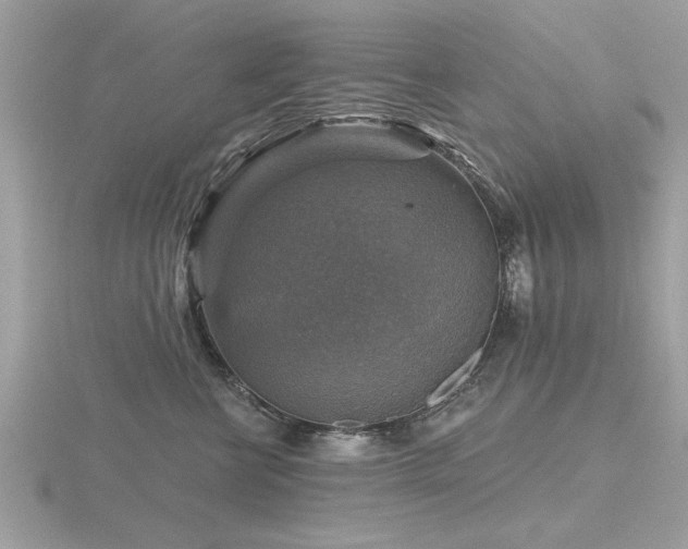 X0000116590570200912101542