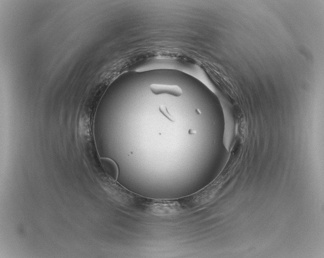 X0000116590571200912101542