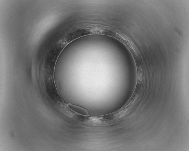 X0000116590573200912101542