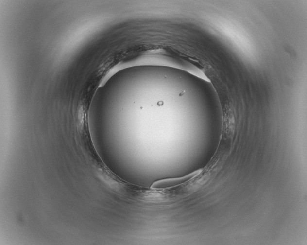 X0000116590574200912101542