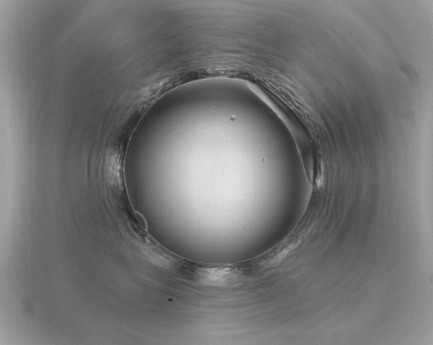 X0000116590575200912101542