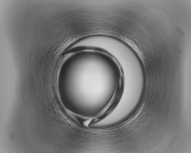 X0000116590577200912101541