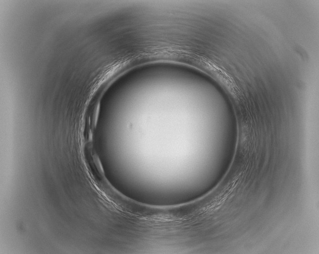 X0000116590578200912101541