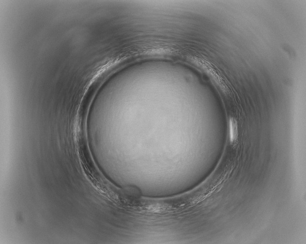 X0000116590579200912101541