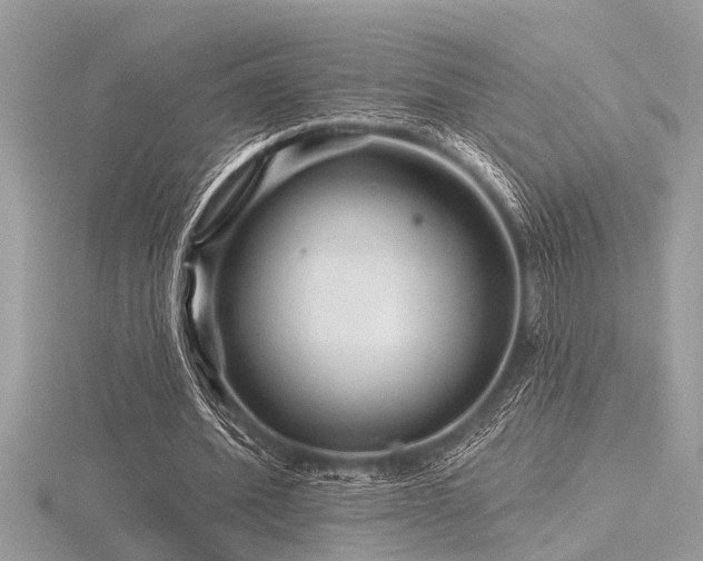 X0000116590580200912101541