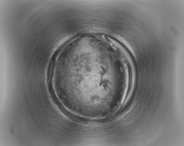 X0000116590581200912101541